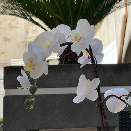 Residenza Spinelli Apartment Naples Luaran gambar