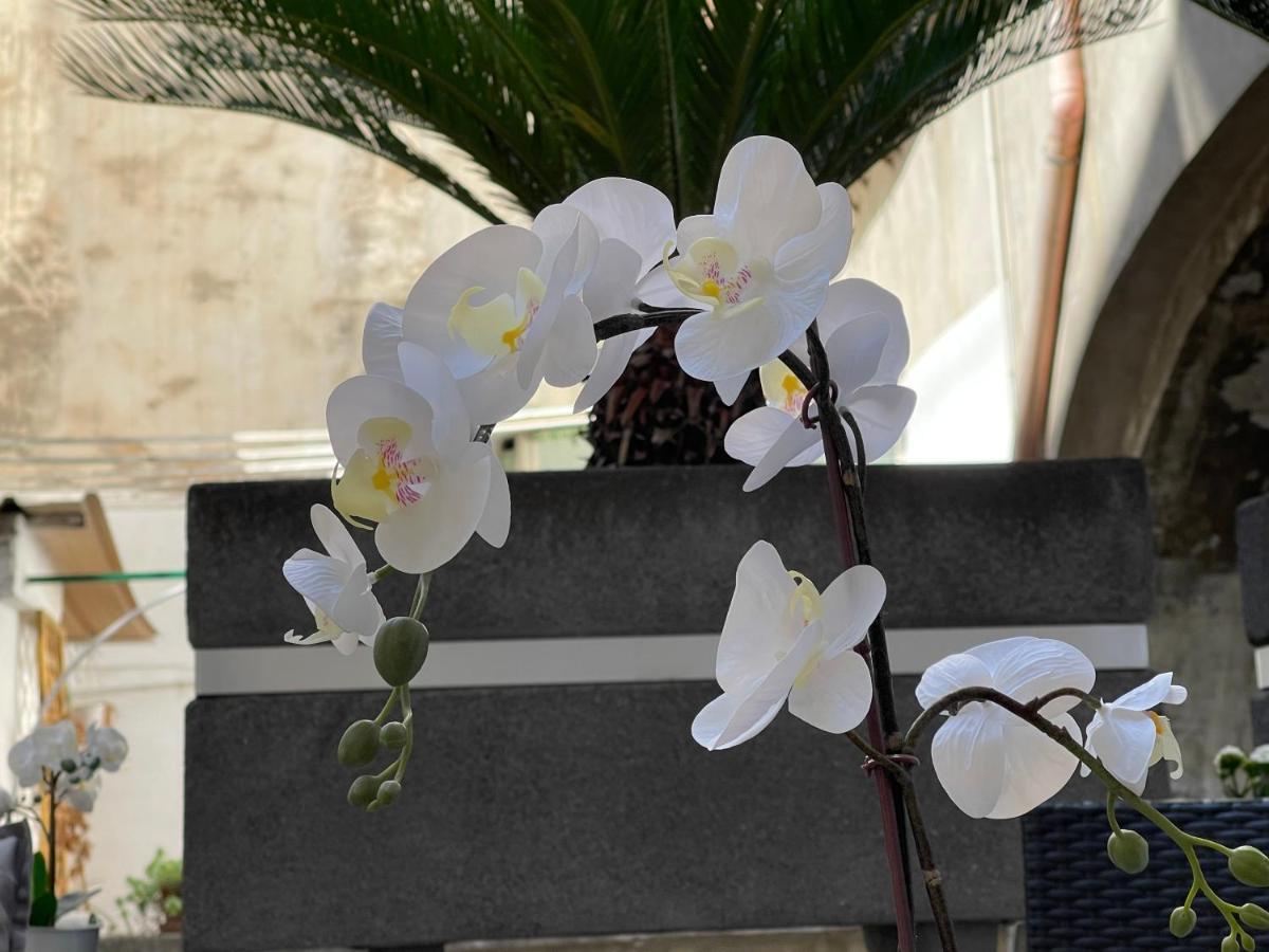 Residenza Spinelli Apartment Naples Luaran gambar